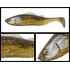 ADUSTA PICK TAIL SWIMMER 5 12cm 27gr 208 Carp
