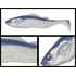 ADUSTA PICK TAIL SWIMMER 5 12cm 27gr 209 Roach