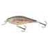SALMO WOBBLER EXECUTOR IEX5SR HGK