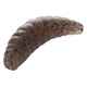 Naluca - M-Area Maggot- 42Mm/Pellet - 10 Buc
