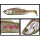 ADUSTA PICK TAIL SWIMMER 6 15cm 43gr 211 Baby Trout
