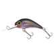 Gloog Parys 40N, 4cm, 2.5gr (Floating), R (Roach)
