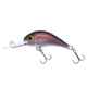 Gloog Parys 40N, 4cm, 2.5gr (Floating), RC (Roach Copper)