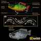 SWIMBAIT SEVEN SECTION S4 10cm 17gr 03 Real Shad